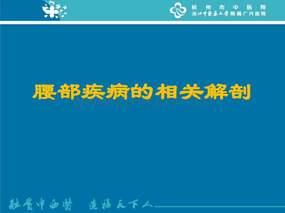 腰腿痛的诊断与治疗.pptx_第3页