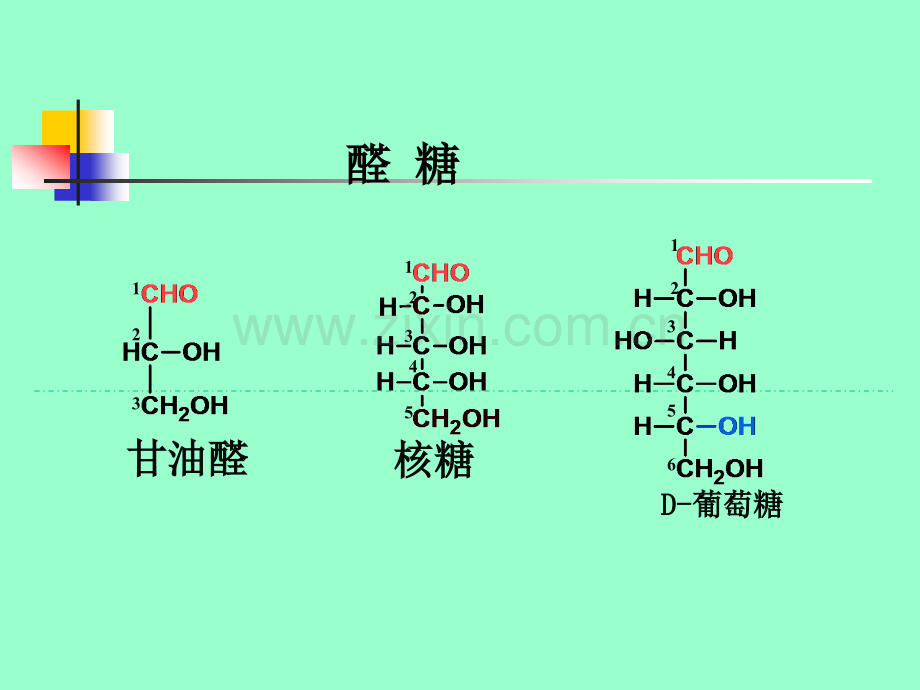 第四章糖类.pptx_第3页