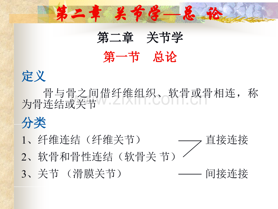 系统解剖学02关节学.pptx_第2页