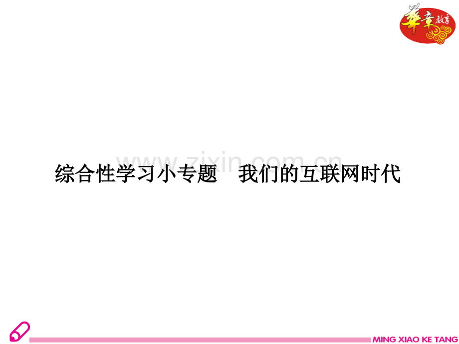 综合性学习小专题我们的互联网时代练习.pptx_第1页