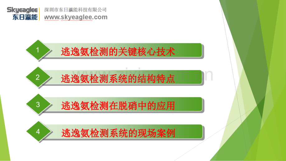 氨逃逸分析仪设置说明.pptx_第2页