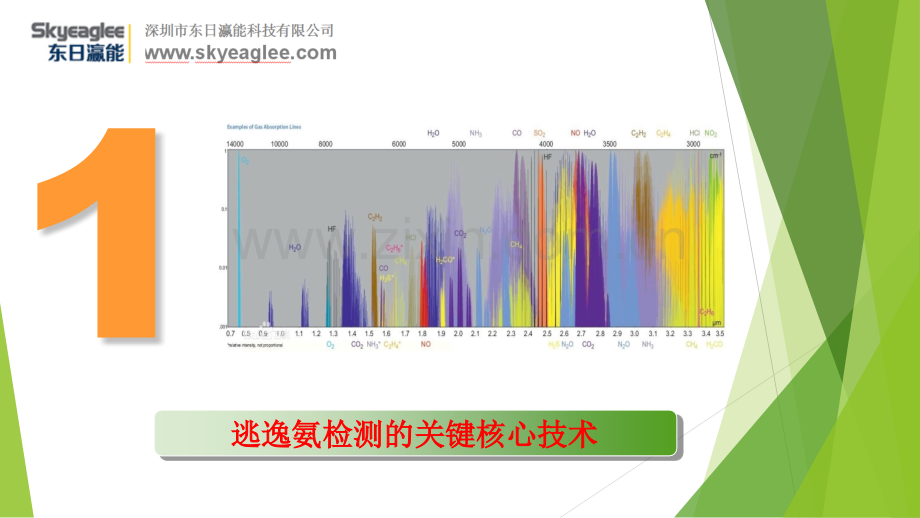 氨逃逸分析仪设置说明.pptx_第3页