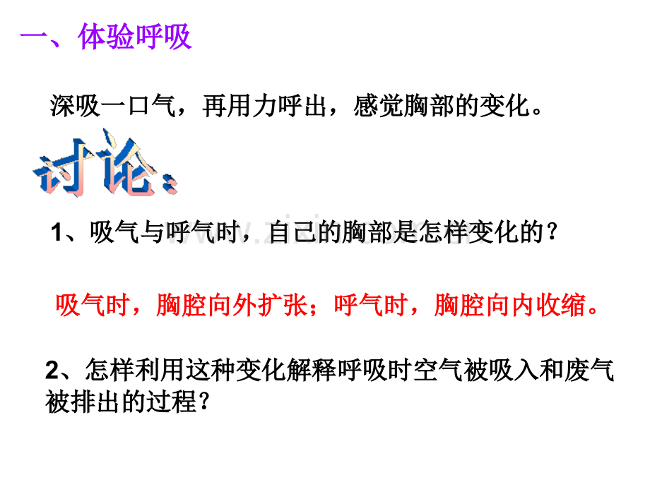 翼教版六年级科学下册呼吸与交换.pptx_第3页