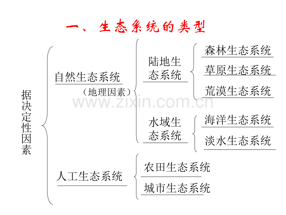 生态-系统复习课45节.pptx_第3页