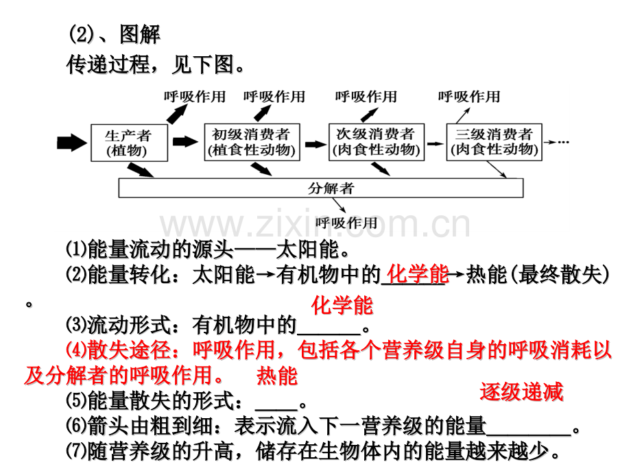 生态系统的功能——能量流动和物质循环.pptx_第2页