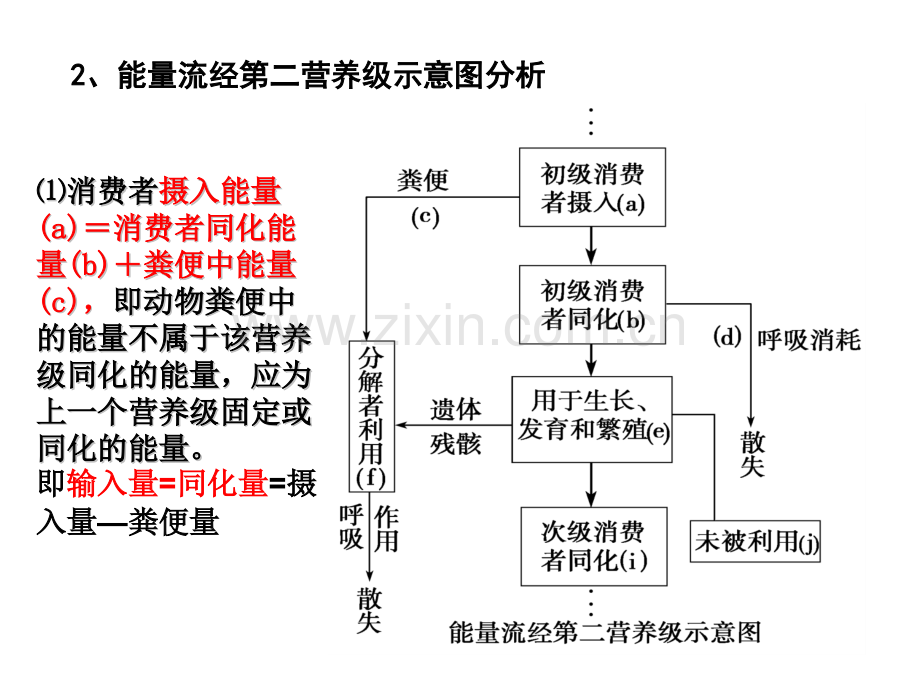 生态系统的功能——能量流动和物质循环.pptx_第3页