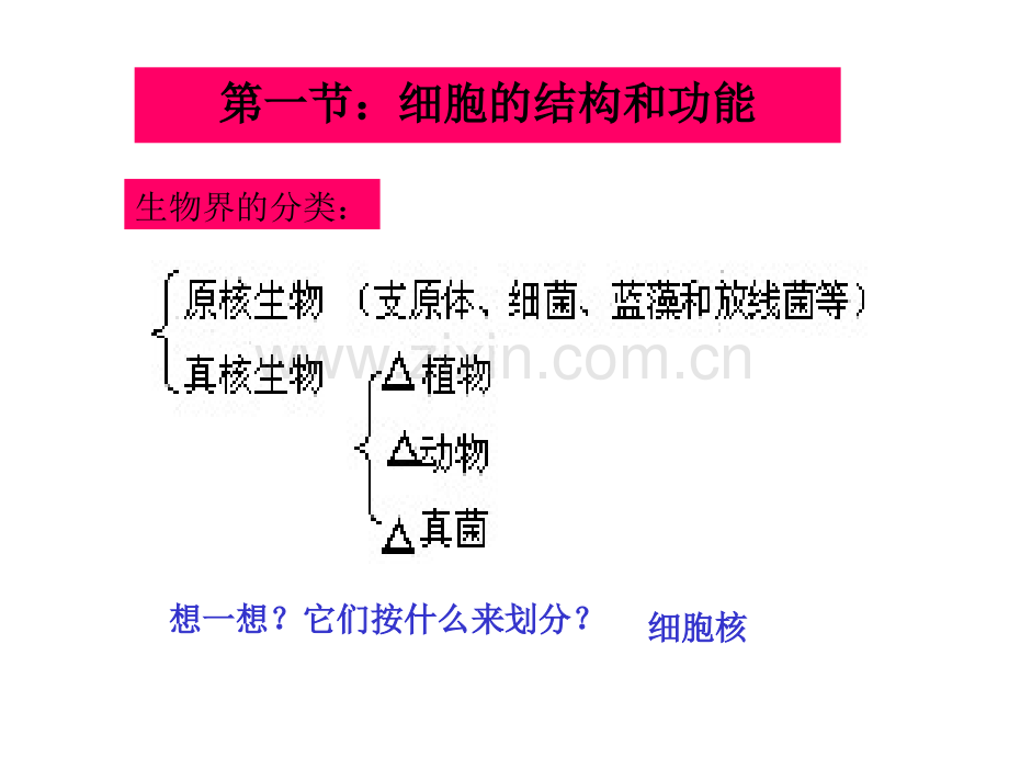 细胞膜细胞核.pptx_第3页