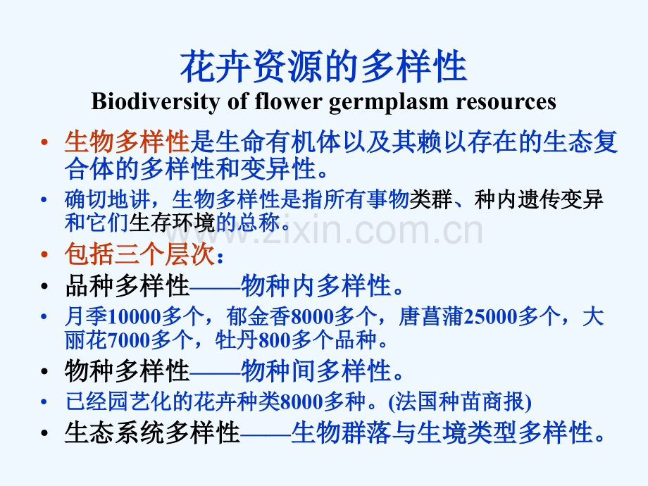 花卉分类与分布.pptx_第1页