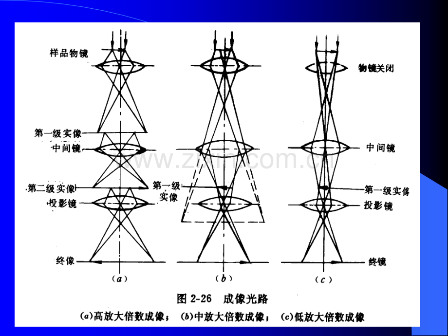 节透射电子显微分析.pptx_第3页