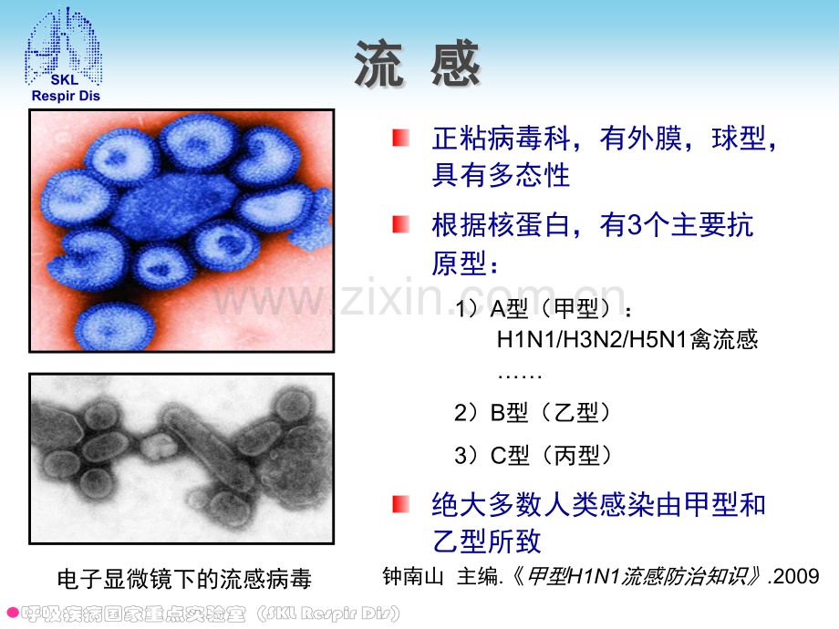 流感及大气污染培训.pptx_第1页