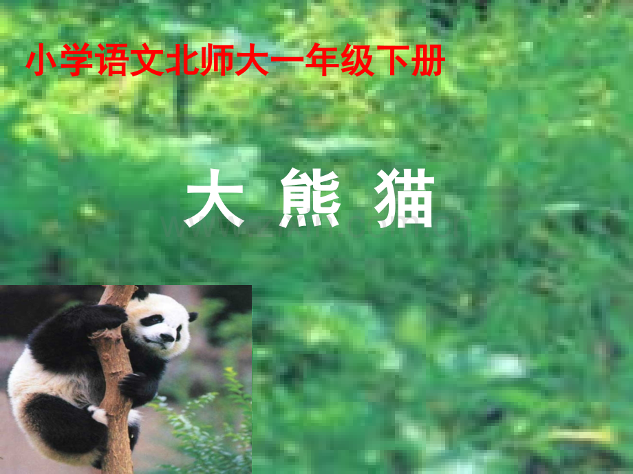 语文S一年级语文下册大熊猫.pptx_第2页