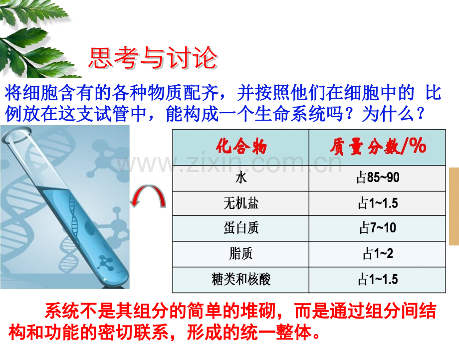 细胞膜—系统的边界课件林红.pptx_第3页