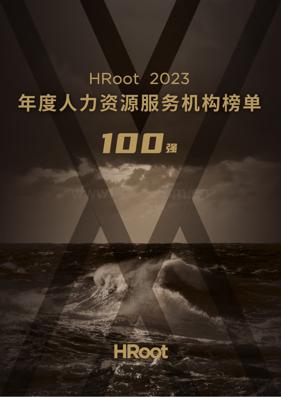 2023年度人力资源服务机构榜单100强报告.pdf_第1页