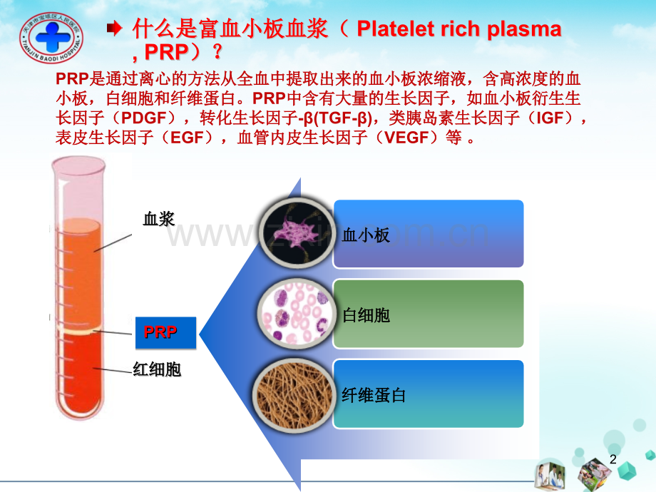 治疗难愈性创面.pptx_第2页