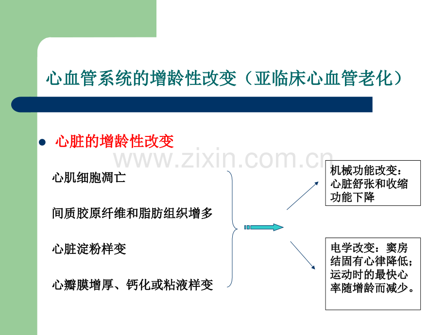 老年心血管病的特点和防治策略.pptx_第3页