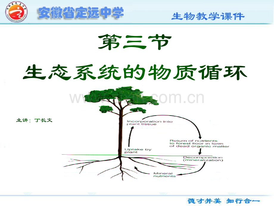 生态系统的物质循环教学.pptx_第3页