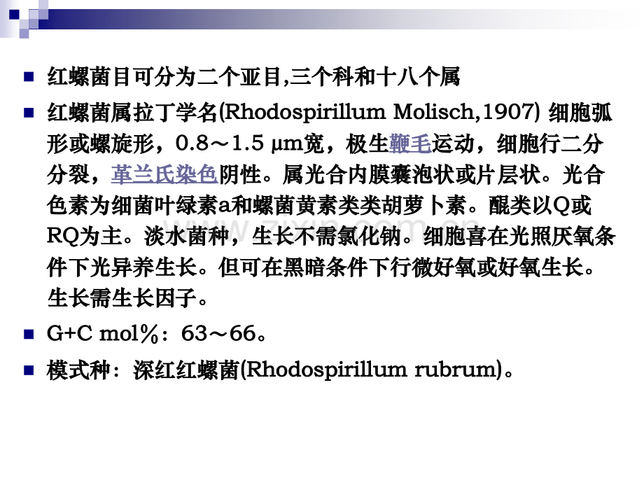 细菌分类学2各论.pptx_第3页