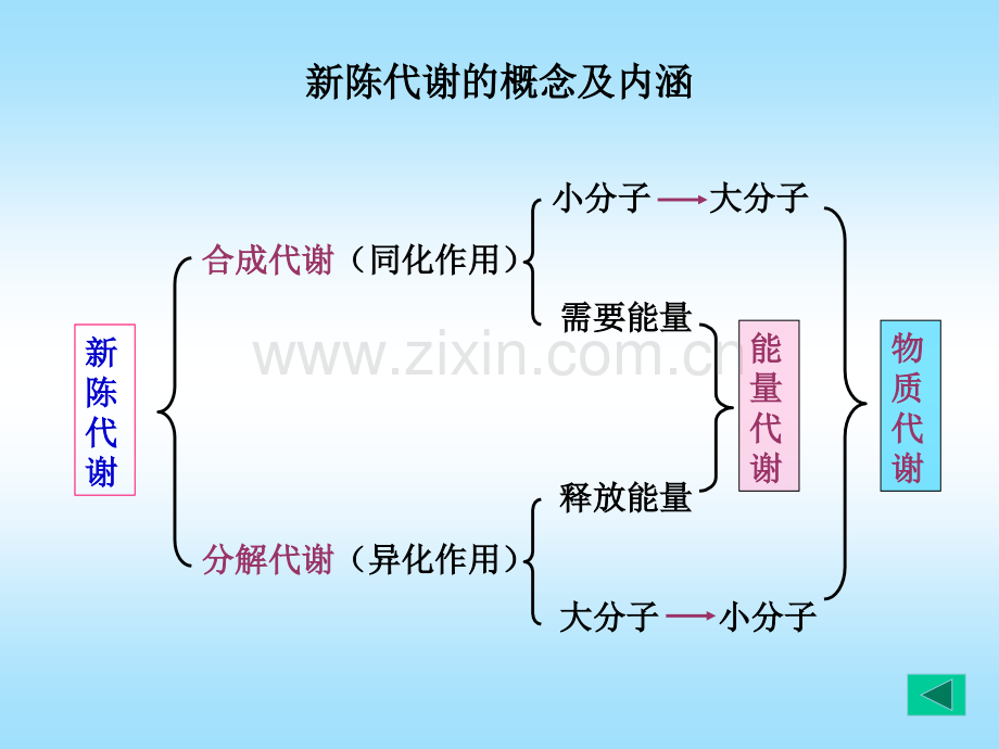 第四章糖代谢.pptx_第3页