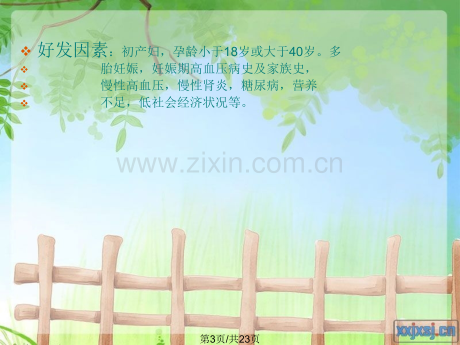 轻子痫前期护理.pptx_第3页