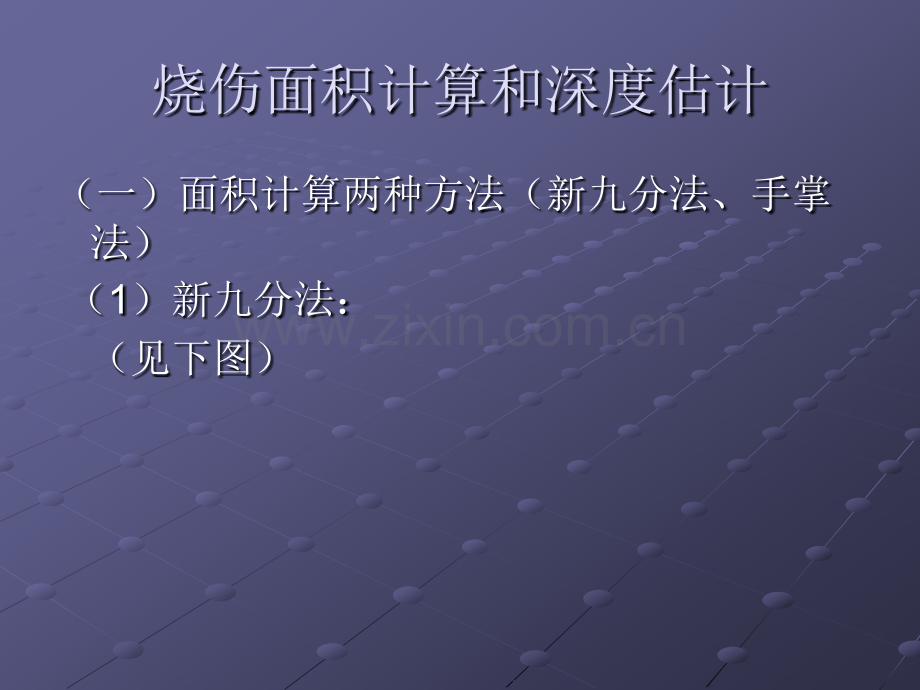 烧伤八年制何仕蓉.pptx_第2页