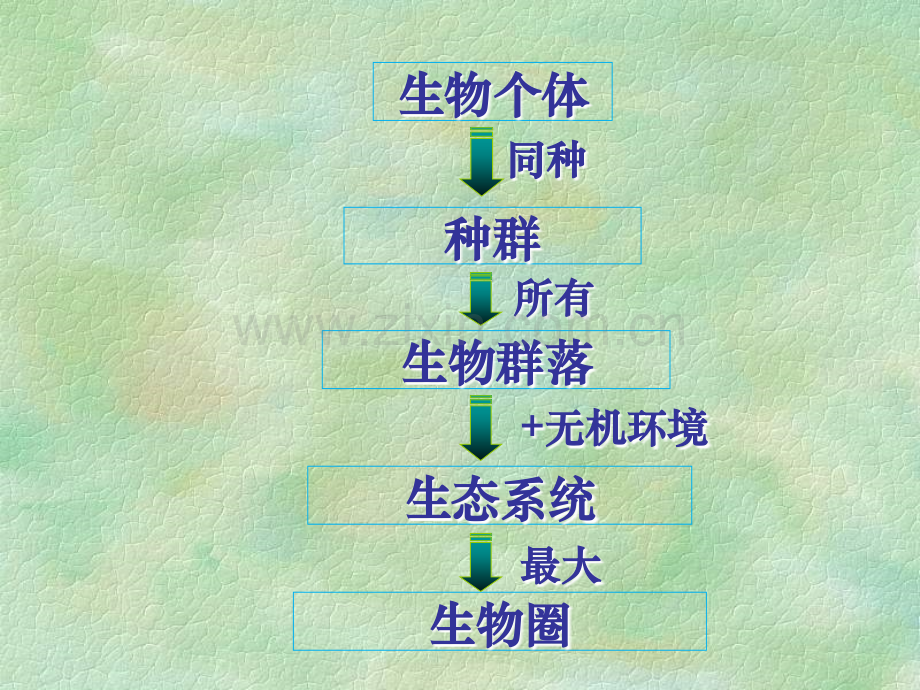 第五章-第1节-生态系统的结构.pptx_第2页