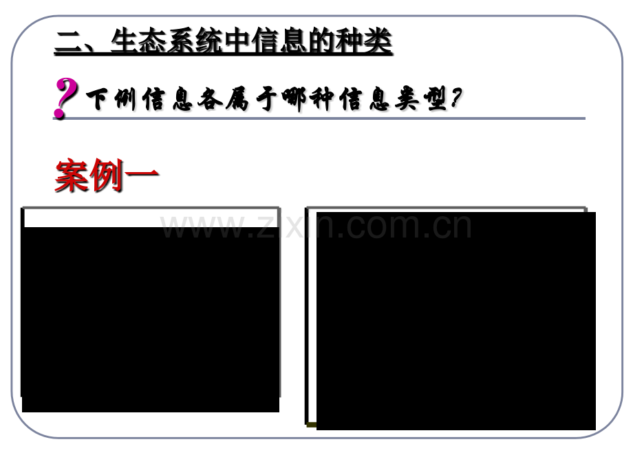 生态系统的信息的传递资料.pptx_第3页