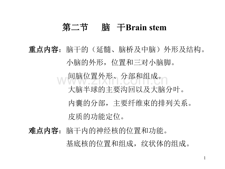 系统解剖学-16.脑干.pptx_第1页