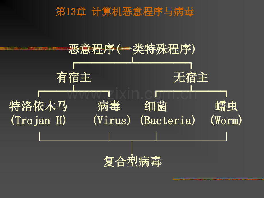 系统恶意程序.pptx_第3页