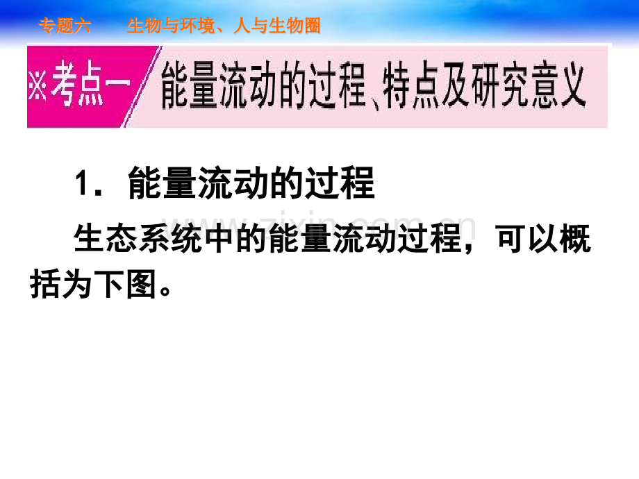 生态系统的功能和稳定性.pptx_第2页