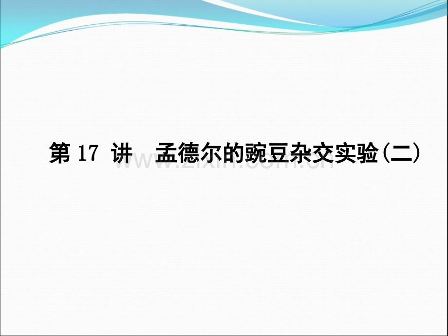 高三生物导学：第五单元第17讲孟德尔豌豆杂交实验二.pptx_第1页