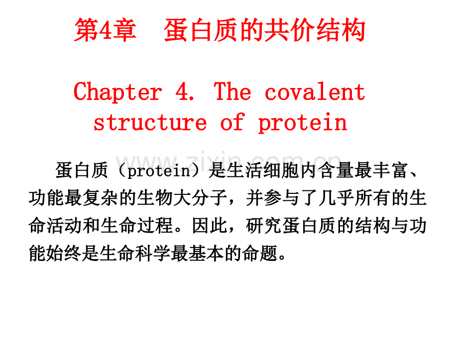 第四章蛋白质的共价结构2010.pptx_第1页