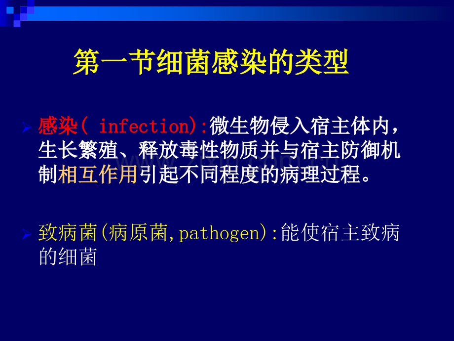 细菌的感染.pptx_第2页