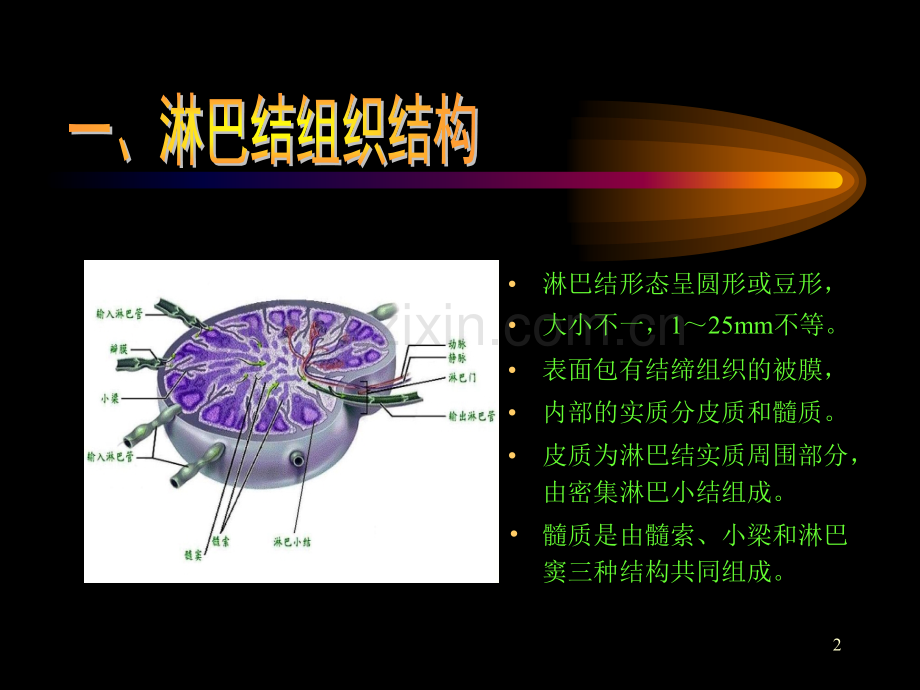 淋巴结超声11.pptx_第2页