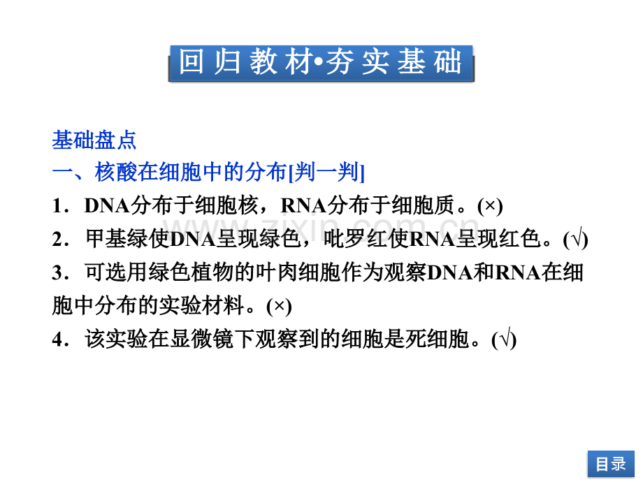 节遗传信息的携带者核酸细胞中的糖类和脂质.pptx_第3页