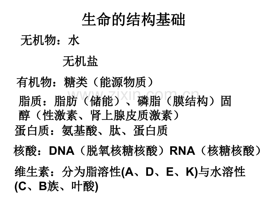 生命科学高中阶段.pptx_第2页