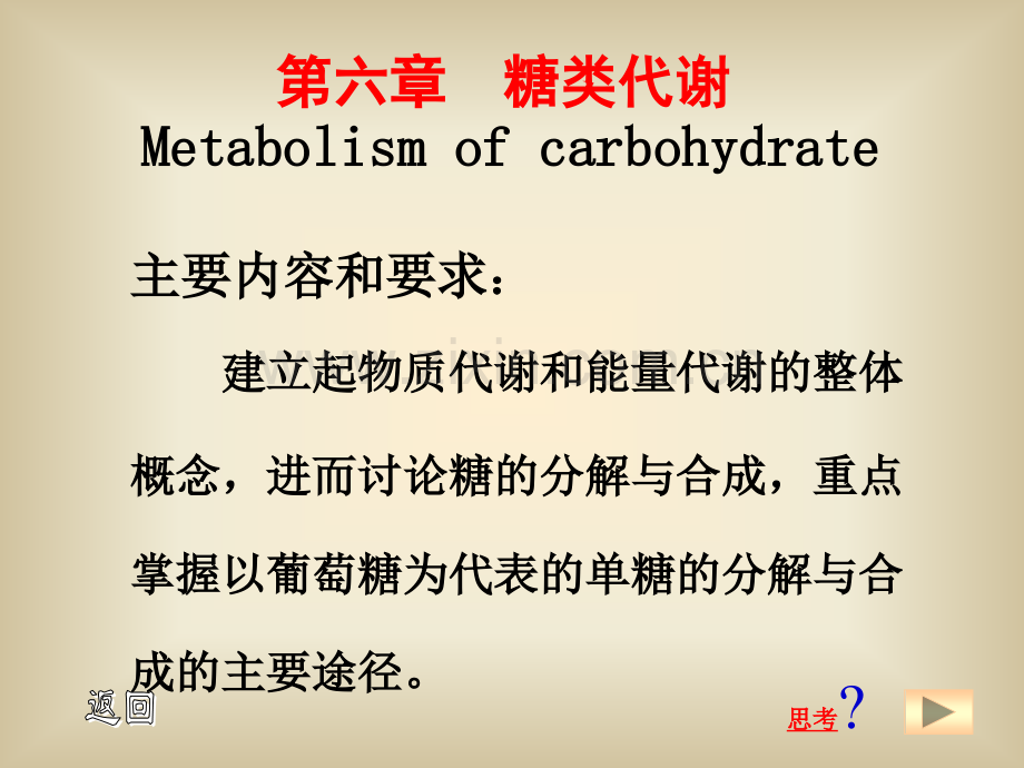 第6章糖类代谢.pptx_第1页