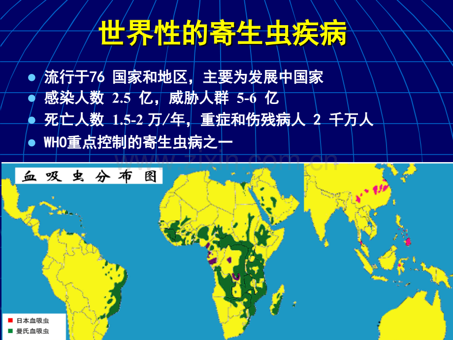 日本血吸虫基因组工作框架图讲述.pptx_第3页