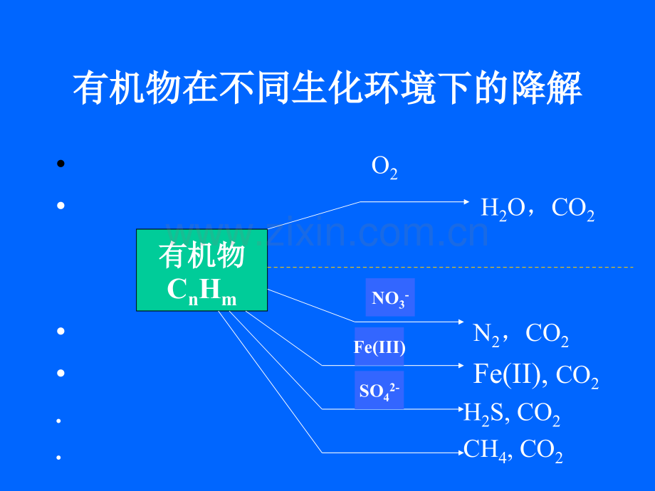 第四讲-缺氧(反硝化)反应.pptx_第3页