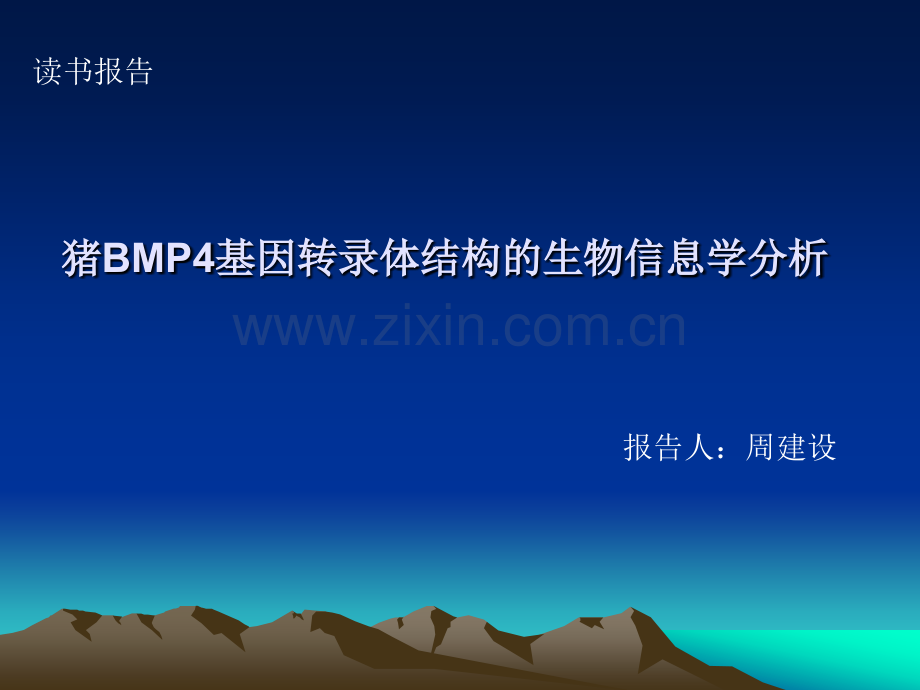 猪BMP4基因转录体结构的生物信息学分析.pptx_第1页