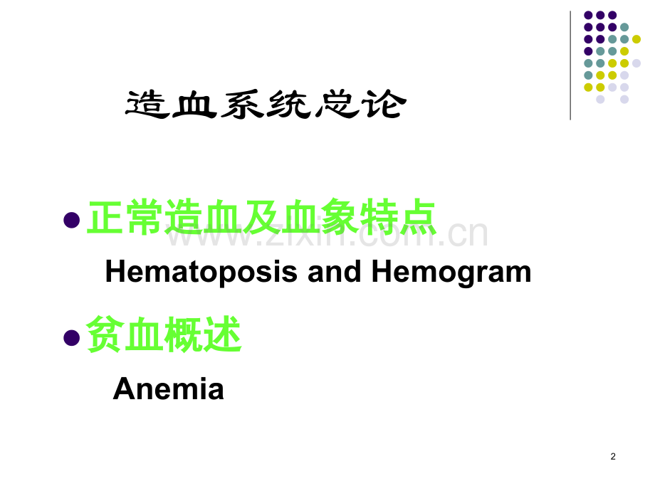造血系统总论及营养性贫血汕头大学.pptx_第2页