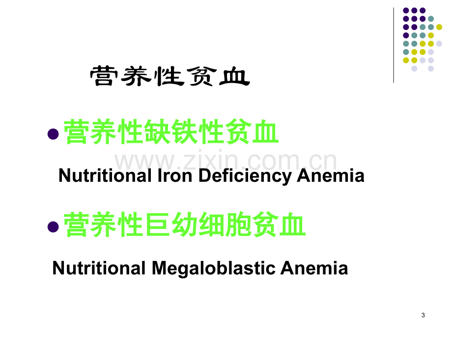 造血系统总论及营养性贫血汕头大学.pptx_第3页