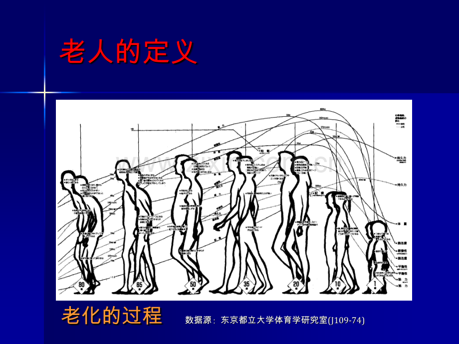 老年保健身体篇健康休闲饮食良好生活习惯养生早会晨会夕会幻灯片投影片培训专题材料素材.pptx_第2页