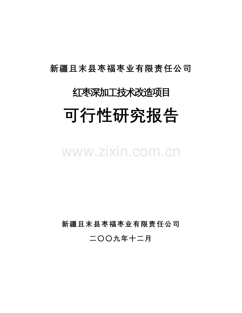 红枣深加工技术改造项目建设可行性研究报告.doc_第1页