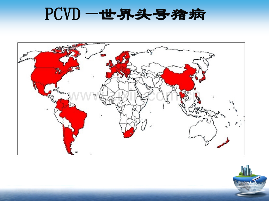 猪圆环病毒病海量图片.pptx_第3页