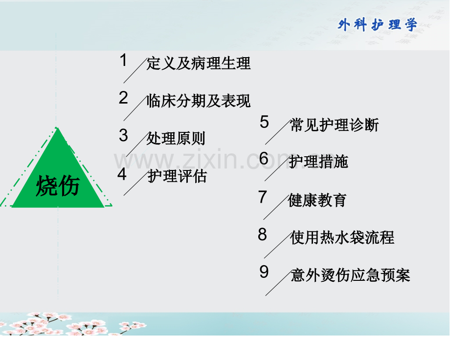 烧伤的预防与护理.pptx_第2页