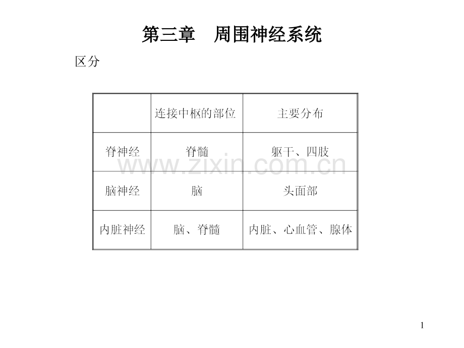 第二章-周围神经系统.pptx_第1页