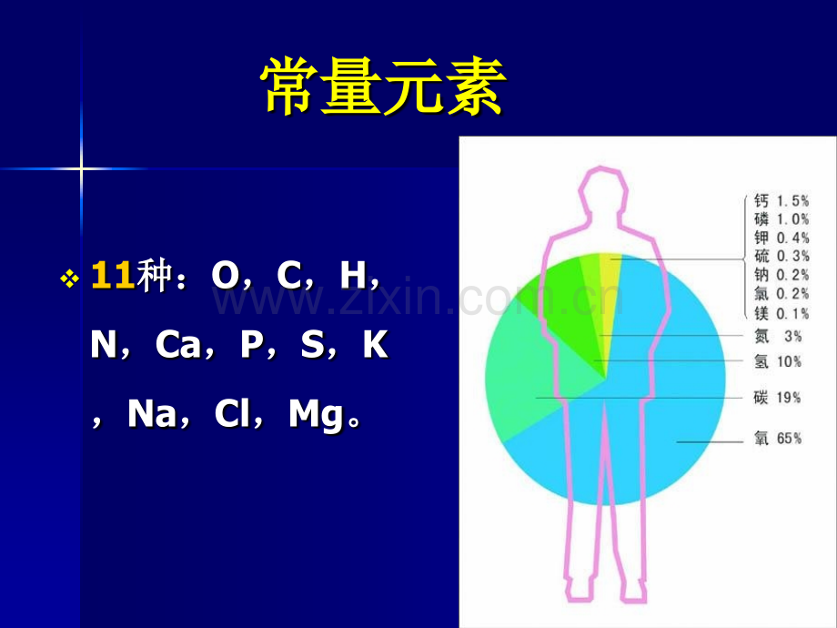 生命的化学基础.pptx_第3页