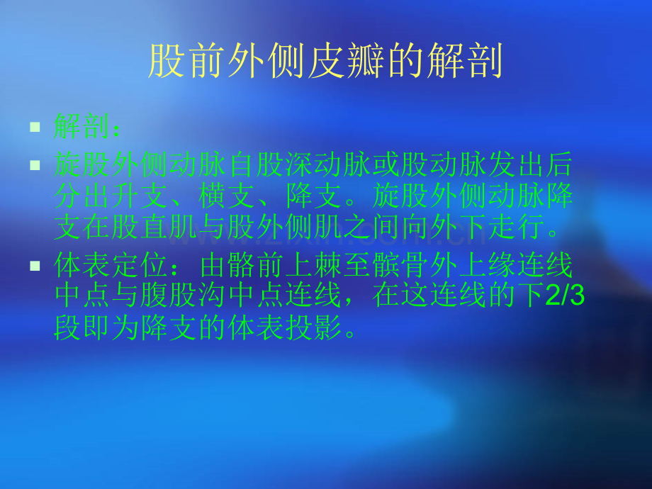 游离股前外穿支皮瓣在皮肤缺损中的应用.pptx_第3页