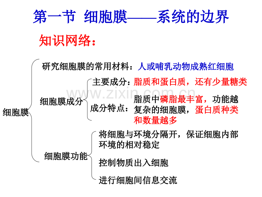 细胞的基本结构--副本.pptx_第2页