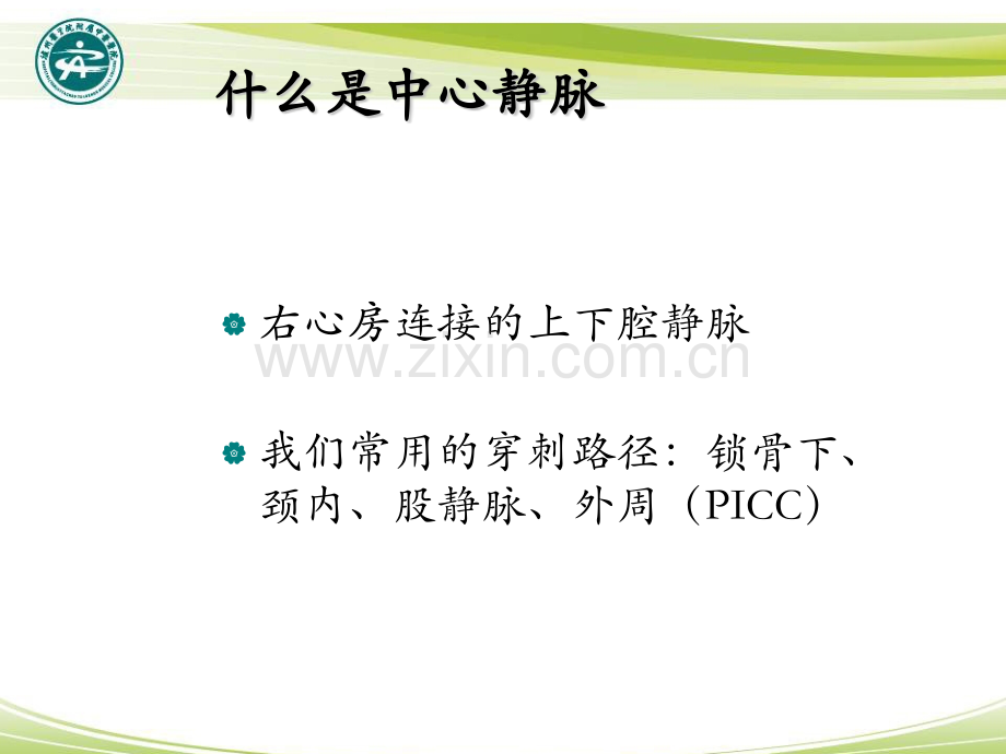 深静脉穿刺置管术颈内锁骨下股静脉含解剖图谱.pptx_第2页